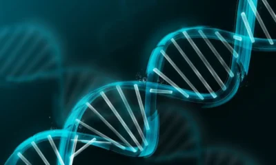 الهندسه الطبيه الحيويه